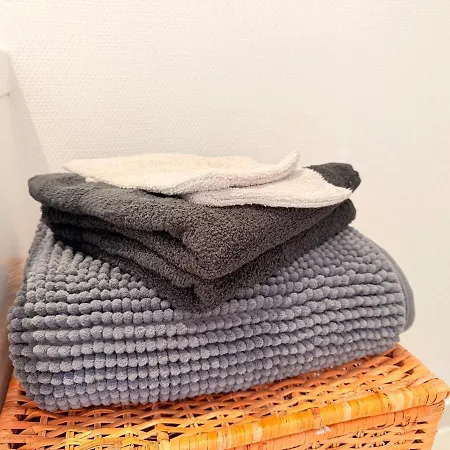 Cosy Aux Portes De Strasbourg - Tram アパート