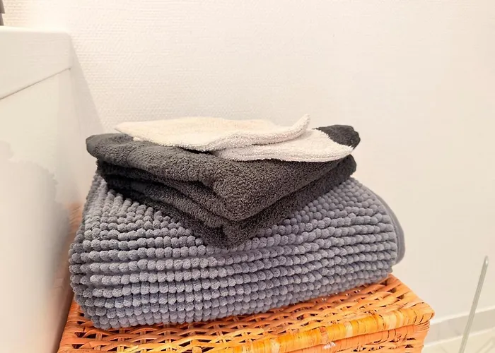 Cosy Aux Portes De Strasbourg - Tram アパート