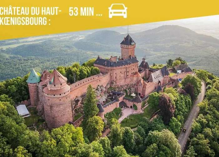 アパート Cosy Aux Portes De Strasbourg - Tram